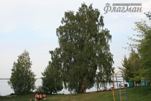 IMG_7764
